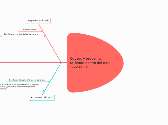 Causas y esquema utilizado dentro del caso 