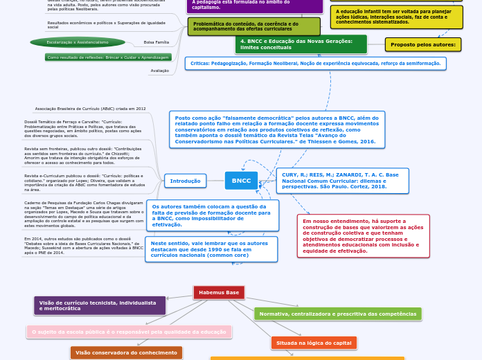 BNCC interpretações