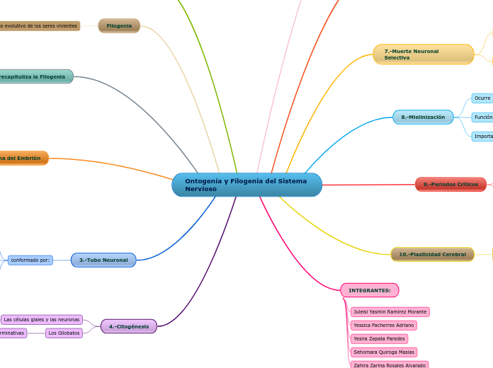 Ontogenia y Filogenia del Sistema Nervioso