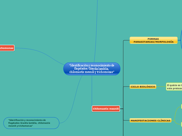 “Identificación y reconocimiento de flagelados: Giardia lamblia, chilomastix mesnili y trichomonas”