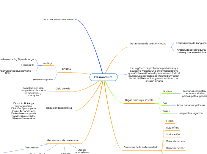 Plasmodium 