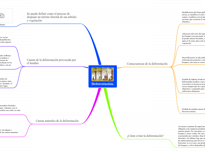 Deforestación.