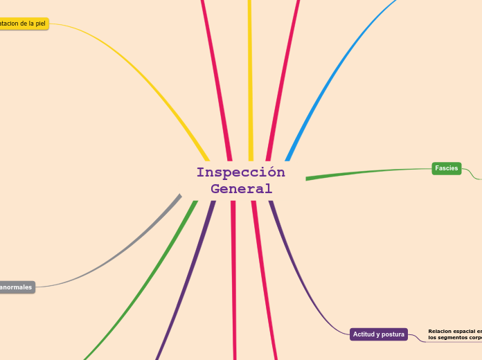 Inspección General