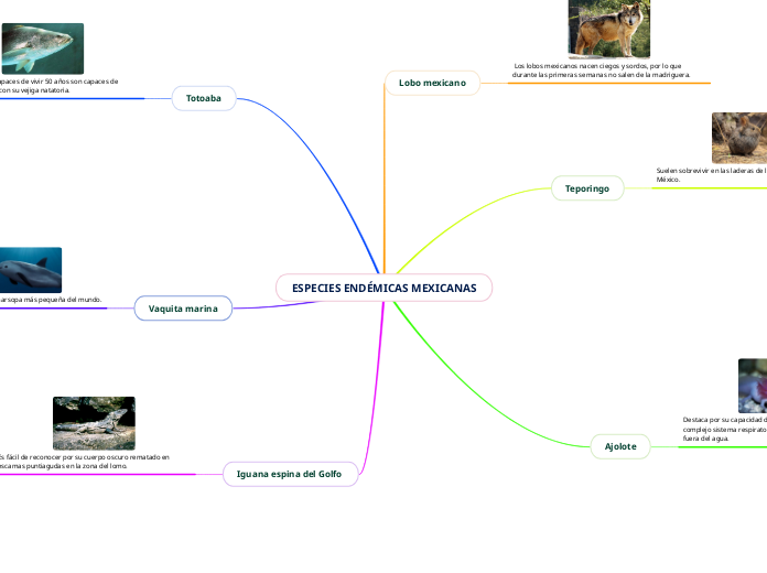 ESPECIES ENDÉMICAS MEXICANAS