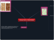 osteoporosis y oste