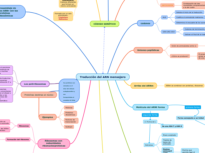 Traducción del ARN mensajero
