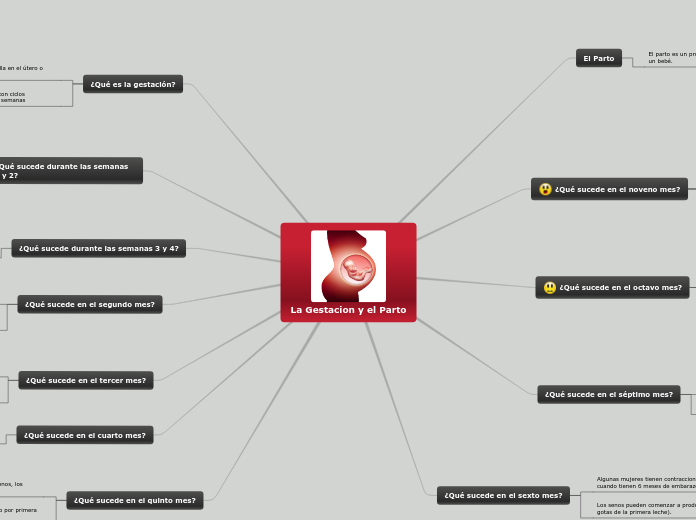 La Gestacion y el Parto