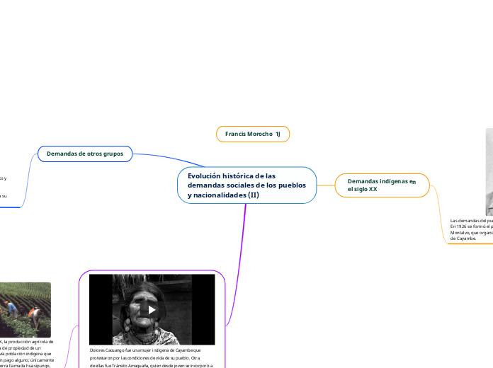 Evolución histórica de las
demandas sociales de los pueblos
y nacionalidades (II)