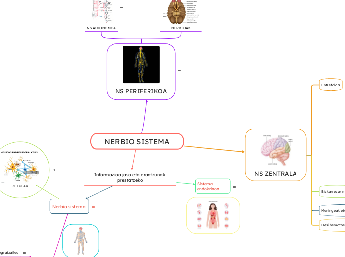 NERBIO SISTEMA