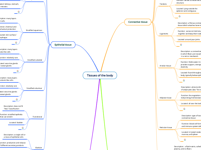 Tissues of the body