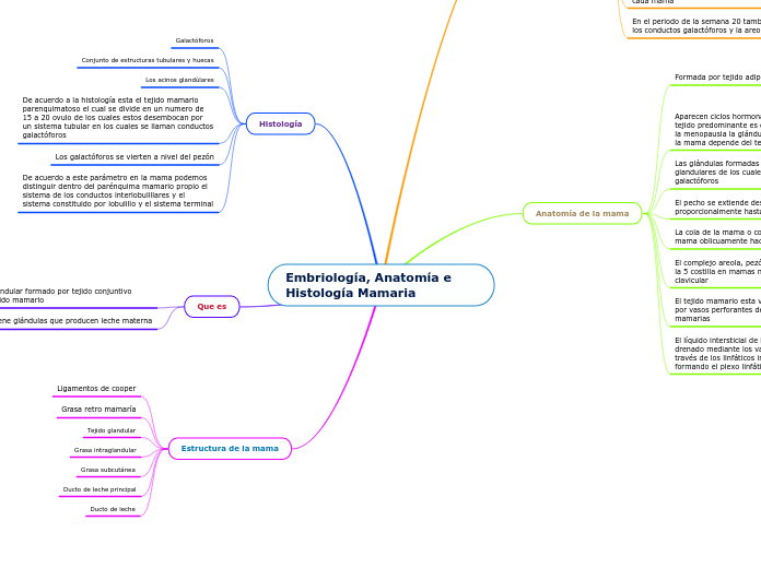 Embriología, Anatomía e Histología Mamaria