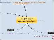 Digestive system(Evelyn)