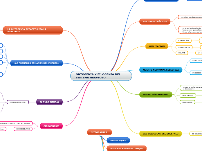ONTOGENIA Y FILOGENIA DEL SISTEMA NERVIOSO