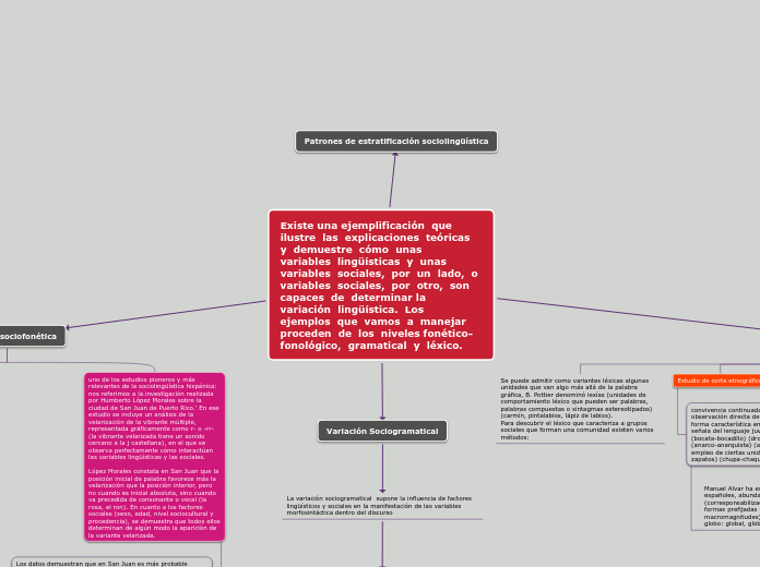 Existe una ejemplificación  que  ilustre  las  explicaciones  teóricas  y  demuestre  cómo  unas  variables  lingüísticas  y  unas  variables  sociales,  por  un  lado,  o  variables  sociales,  por  otro,  son  capaces  de  determinar la  variación  lingüística.  Los  ejemplos  que  vamos  a  manejar  proceden  de  los  niveles fonético-fonológico,  gramatical  y  léxico.