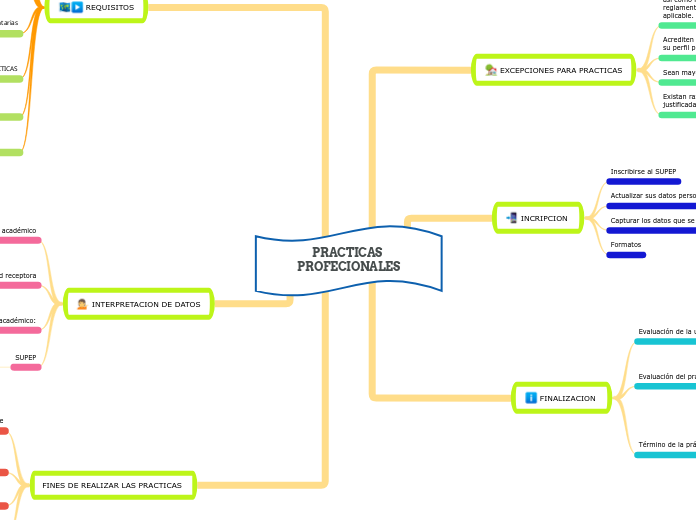 PRACTICAS PROFECIONALES 1234