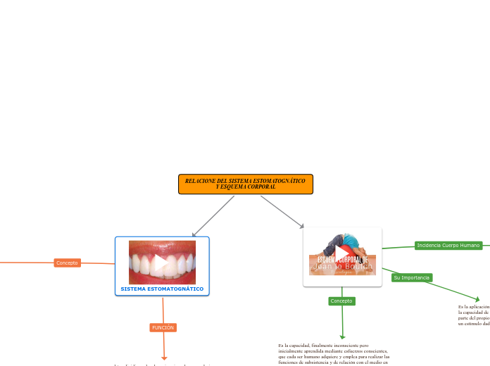 RELACIONE DEL SISTEMA ESTOMATOGNÁTICO Y ESQUEMA CORPORAL