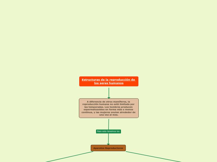 Pablo Giraldo 9A - Estructuras de la reproducción de los seres humanos