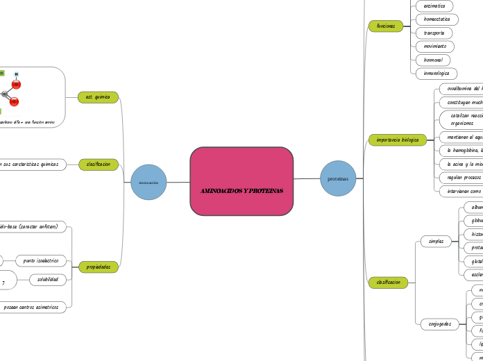 AMINOACIDOS Y PROTEINAS