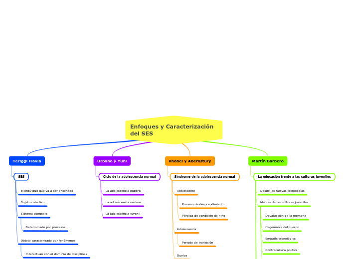 Enfoques y Caracterización del SES