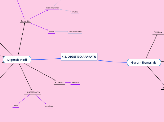 4.3. DIGESTIO APARATU