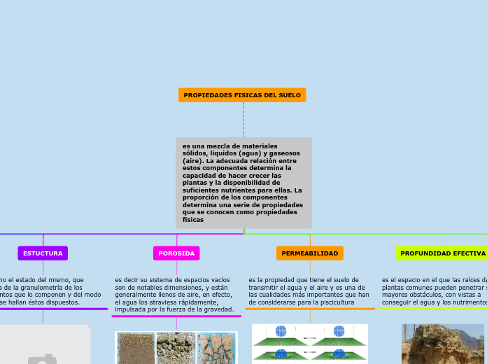 Organigrama