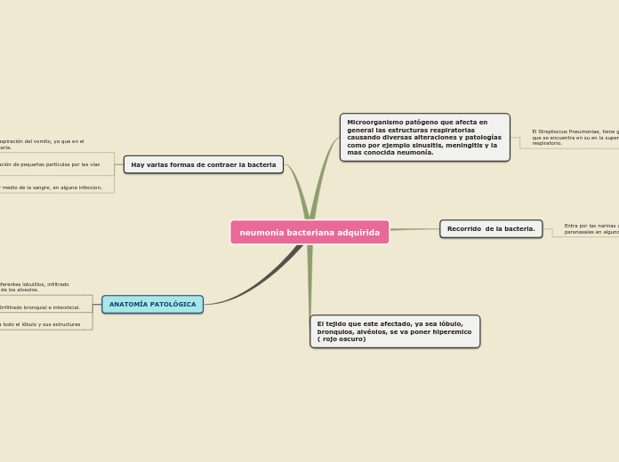 neumonia bacteriana adquirida