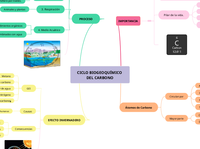 CICLO BIOGEOQUÍMICO DEL CARBONO