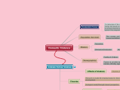 Task 4-Mindmap