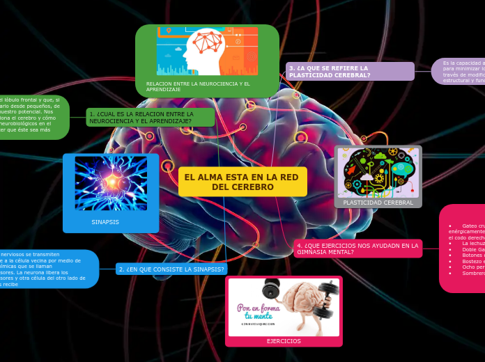 EL ALMA ESTA EN LA RED DEL CEREBRO