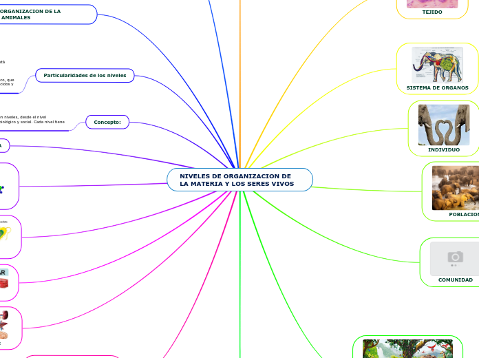 NIVELES DE ORGANIZACION DE LA MATERIA Y LOS SERES VIVOS