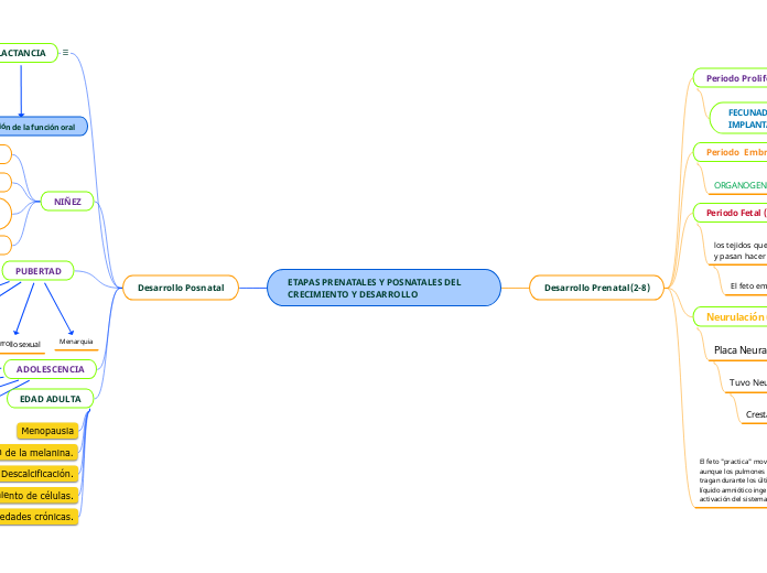 ETAPAS PRENATALES Y POSNATALES DEL CRECIMIENTO Y DESARROLLO