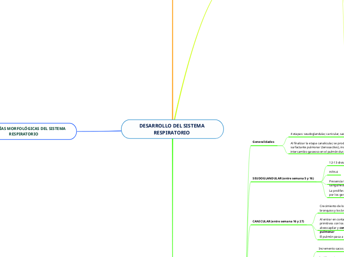 DESARROLLO DEL SISTEMA RESPIRATORIO 