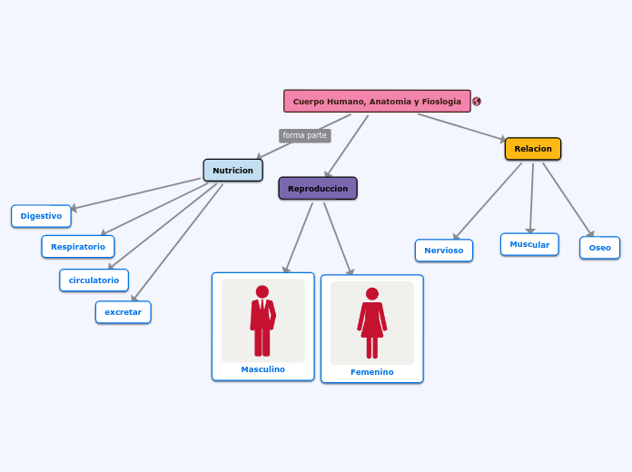 Cuerpo Humano, Anatomia y Fioslogia