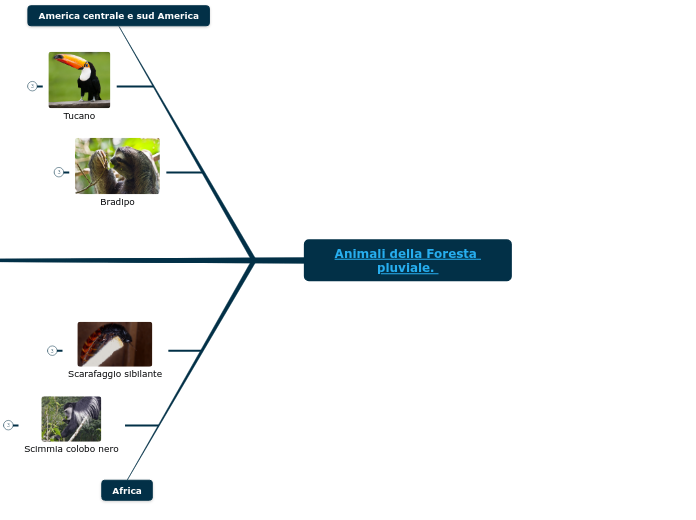 Animali della Foresta pluviale. 