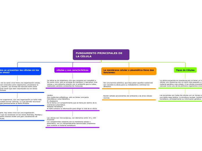 FUNDAMENTO PRINCIPALES DE    LA CELULA