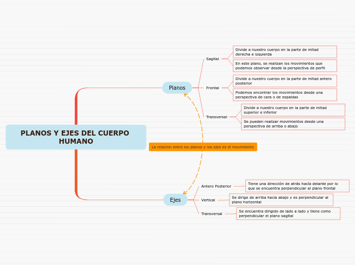 PLANOS Y EJES DEL CUERPO HUMANO