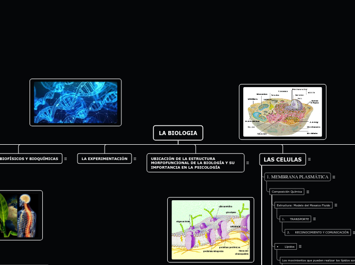 Organigrama arbol