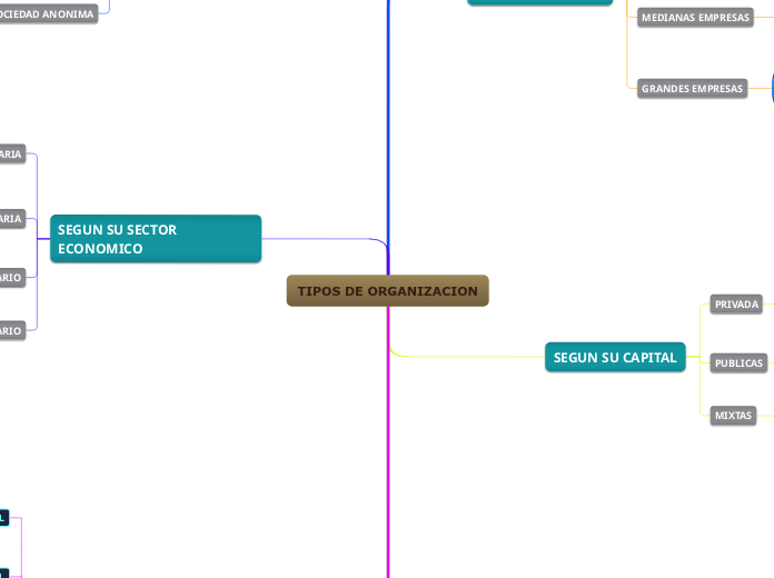 TIPOS DE ORGANIZACION