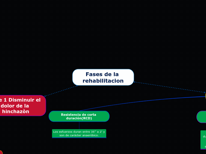 Fases de la rehabilitacion