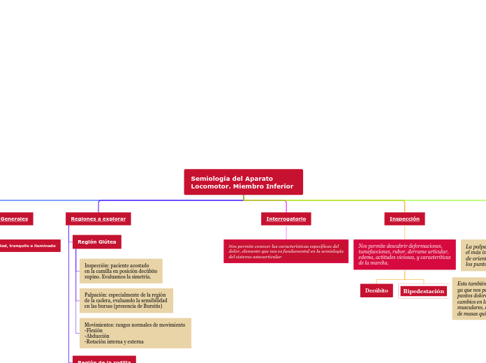 Semiología del Aparato   Locomotor. Miembro Inferior