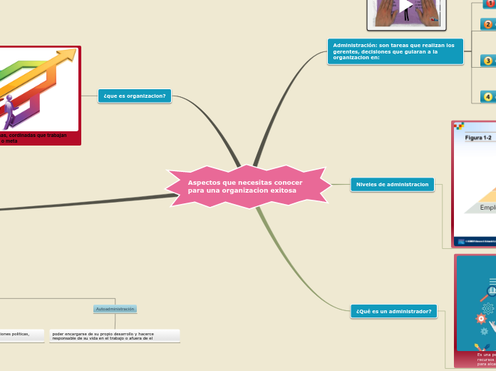 Aspectos que necesitas conocer para una organizacion exitosa