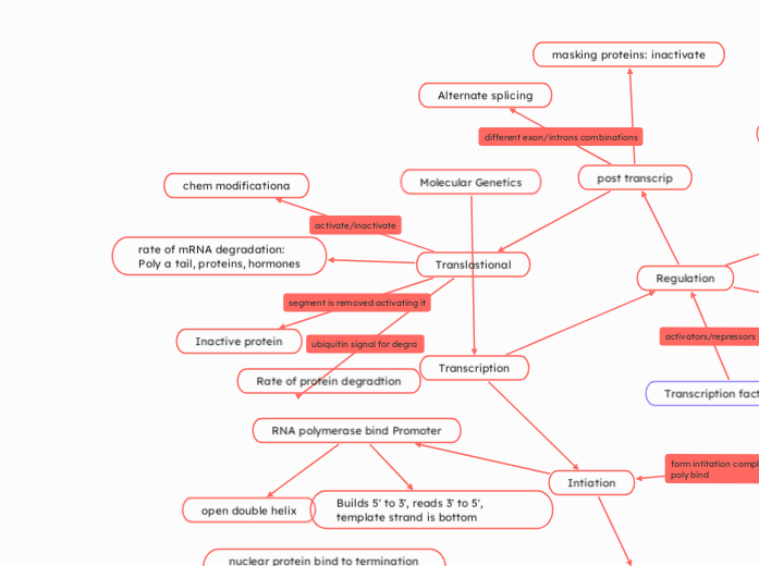 Molecular Genetics