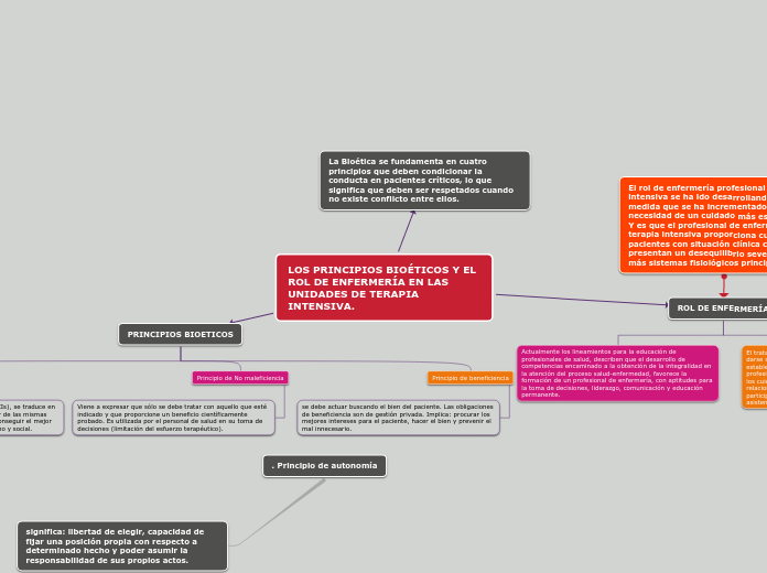 LOS PRINCIPIOS BIOÉTICOS Y EL ROL DE ENFERMERÍA EN LAS UNIDADES DE TERAPIA INTENSIVA.