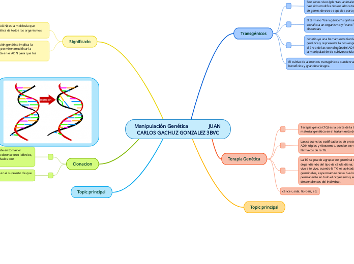 Manipulación Genética                JUAN CARLOS GACHUZ GONZALEZ 3BVC