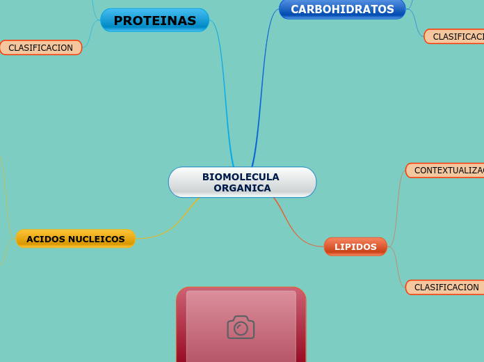 BIOMOLECULA ORGANICA