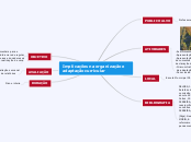 Implicações na organização e adaptação curricular