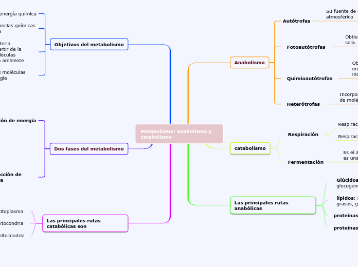 Metabolismo: anabolismo y  catabolismo