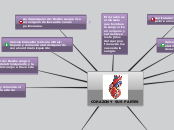 mapa mental el corazon