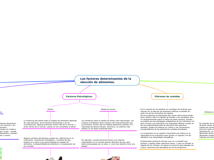 Los factores determinantes de la elección de alimentos.