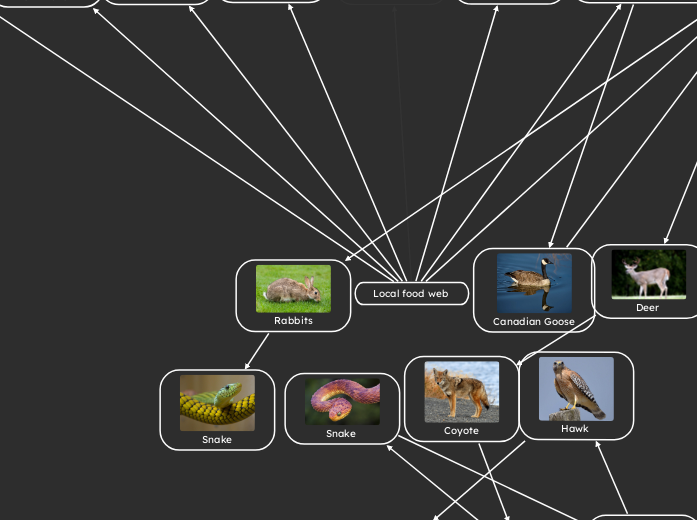 Local food web 